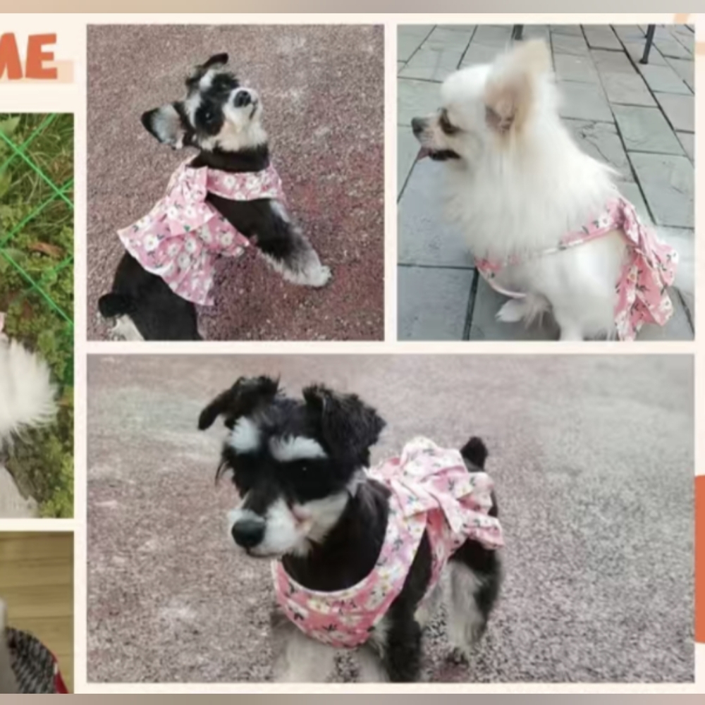 🐕🐩HOST PICK 🐕Pink Floral Puppy/Dog Dress Harness with Matching Leash NWT
